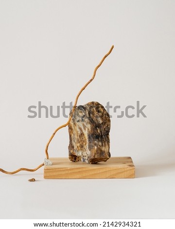 Minimalist monochrome still life compositionwith a stone, wood and branch. Abstract modern art design concept. Still life photography