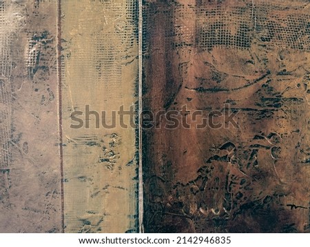 Abstract natural wood background for design and decor. Wood texture. Soft focus