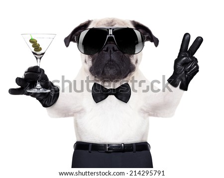 cool pug dog with martini glass and peace or victory fingers,