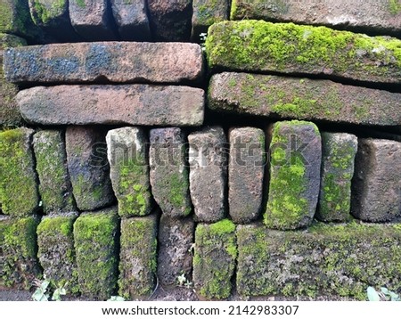 jember, indonesia bricks overgrown with moss