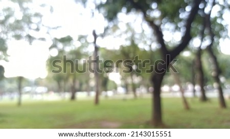 Blurry Defocused Images of bokeh from tree in the park