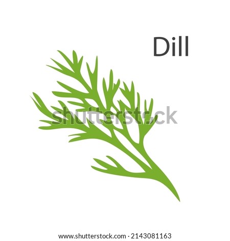 Green bunch of dill. Ingredient and seasoning for the dish. Useful natural healthy food and diet. Vegetarian product. Recipe. Flat vector illustration isolated on white background Royalty-Free Stock Photo #2143081163
