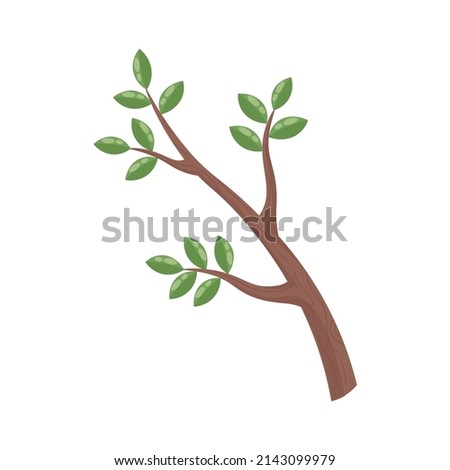 a tree branch with young green leaves. a symbol of forest conservation. the concept of cutting down trees