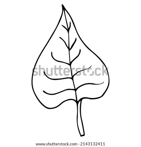 Tropical palm leave in sketch style, isolated vector illustration. Leave of palm tree in linear doodle style. Botanical minimalist print of exotic leave, sketch design.