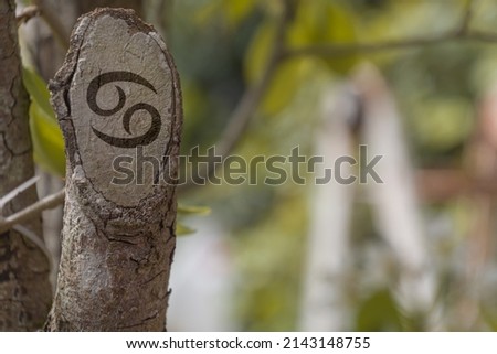 Close-up shot of a cut branch engraved with a zodiac sign, especially the sign of Cancer