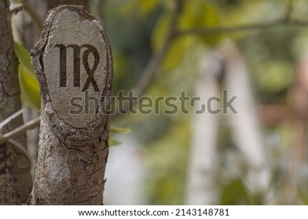 Close-up shot of a cut branch engraved with a zodiac sign, especially the sign of Virgo