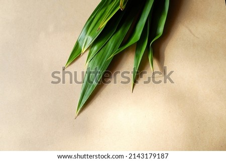 Fresh pandan leaves on the wooden table