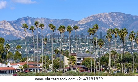 Palm Trees along East Cabrillo Blvd at the beach in Santa Barbara, CA. Behind is the Riviera neighborhood and in the background are the San Ynez mountains. 
