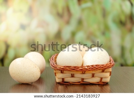 Christ is risen. Basket with Easter eggs on the table against the background of greenery on a sunny spring day - Easter decoration, banner, panorama. Turkey eggs are large. Eggs in a speck