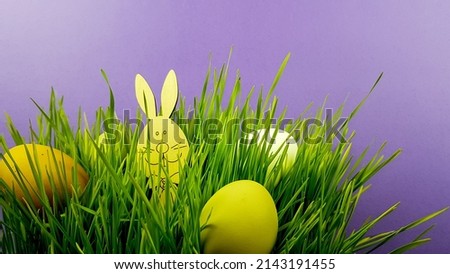 easter bunny and colored decorated eggs on green real grass on a light background.