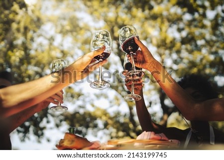 Group of young friends celebrating friendship rising hands holding red wine glasses in the countryside at the picnic Royalty-Free Stock Photo #2143199745