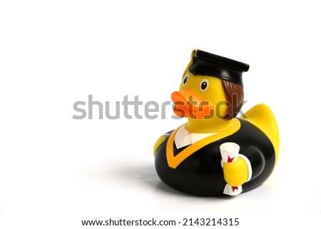 Funny graduation rubber duck wearing a cap and gown. Isolated on white background with space for copy text to the left.