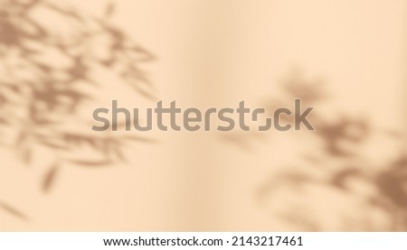 Abstract silhouette shadow white background of natural leaves tree branch falling on wall. Transparent blurry shadow leaf in morning sun light. Royalty-Free Stock Photo #2143217461