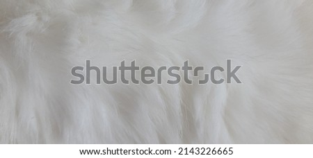 Cat Fur Texture Pattern Background, Natural Long Hair Fur Texture Top View, White Clean Wool, Light Natural Sheep Wool Cotton Texture of Fluffy Fur, Close-up Fragment White Wool Carpet Sheepskin Royalty-Free Stock Photo #2143226665