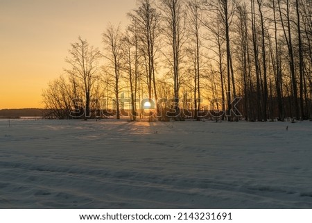 Early dawn in winter, sun between the trees