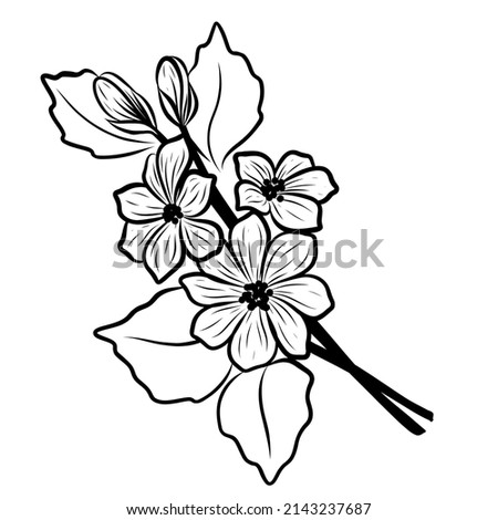 Vector cherry blossom with leaves. Romantic Line art floral invitations