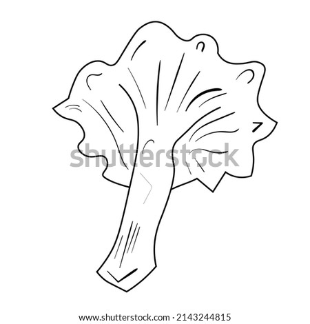 Doodle mushroom set. Cute bio line art collection. Black vector on white backround.