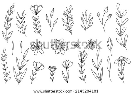 Vector doodle set of flowers, branches and leaves