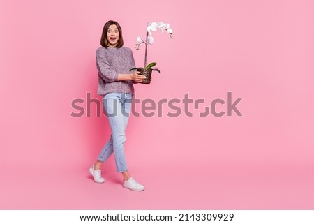 Full length body size view of attractive cheerful girl holding in hands orchid going delivery isolated over pink pastel color background