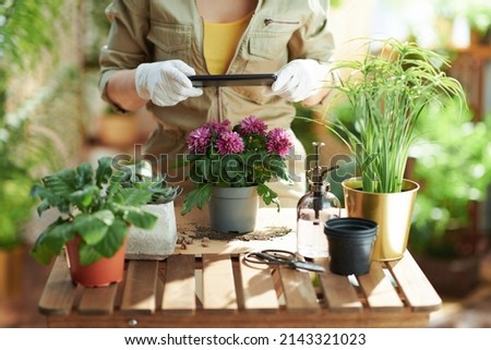 Relaxing home gardening. Closeup on woman in white rubber gloves with potted plant making photos using smartphone in the house in sunny day.