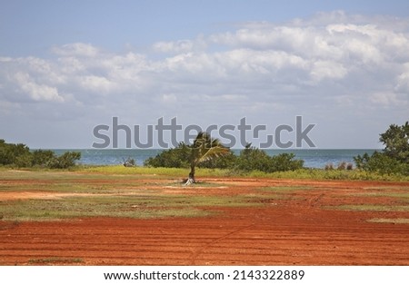 Landscape near Varadero town. Cuba