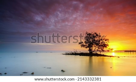 16x9 view of lonely single tree middle of the sea with dramatic sunset at background