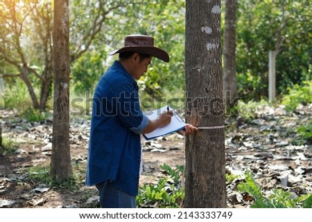 Asian man botanist  inspects and measure trunk of tree and write details on paper. Concept : Survey and research botanical plants. Forest and environment conservation.                                  Royalty-Free Stock Photo #2143333749