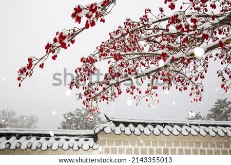 Winter view of snow covered red fruits of cornlian cherry and tile roof and wall of Gyeongbokgung Palace at Jongno-gu, Seoul, South Korea 
 Royalty-Free Stock Photo #2143355013