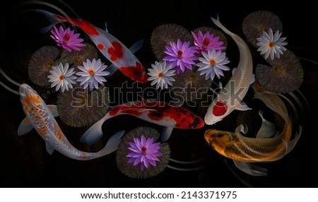 koi fish and lotus flowers and leaves