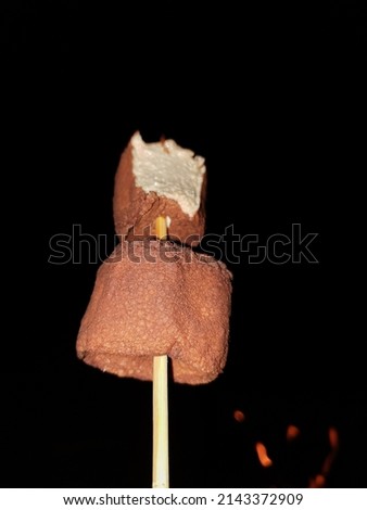 Bitten  burned Marshmallow on a wooden stick
