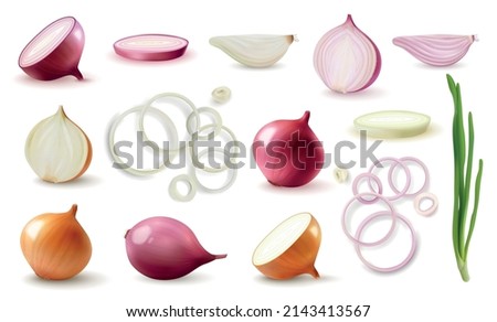 Fresh whole sliced red and yellow onion realistic set isolated against white background vector illustration Royalty-Free Stock Photo #2143413567