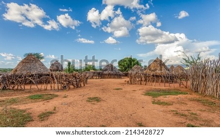 Traditional huts in Hamar Village, The Hamars are the original tribe in southwestern Ethiopia, Africa. They are largely pastoralists, so their culture places a high value on cattle Royalty-Free Stock Photo #2143428727