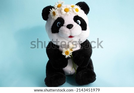 Soft toy Panda on a blue background with daisies on his head.Concept of the environment.