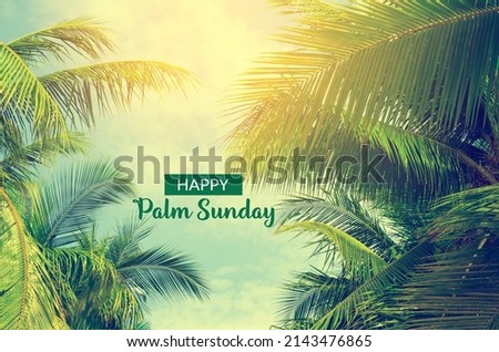 Palm Sunday concept. women hold palm leaves with bright blue sky background. Happy Palm Sunday!
