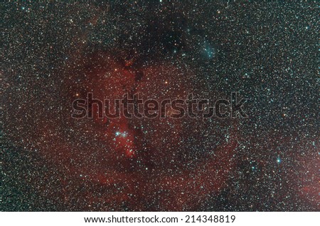 Cone Nebula and Fox fur and Christmas Tree Cluster