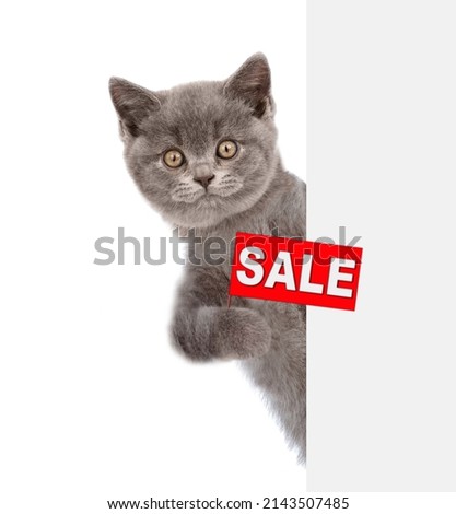 Funny kitten holds sales symbol  behind empty white banner. Empty space for text. Isolated on white background