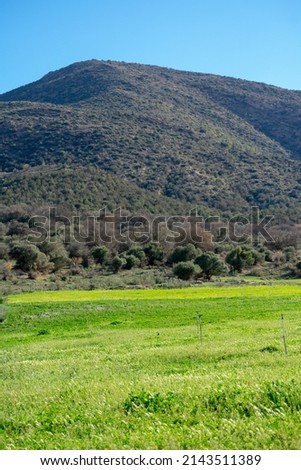 Scenic view of green fields, mountains and blue sky in the Aures mountains, Algeria
