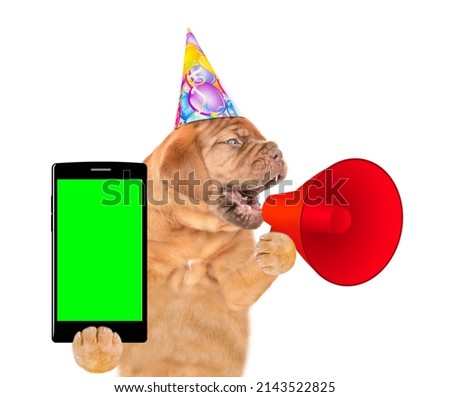 Mastiff puppy wearing party cap screaming into a megaphone and holds smartphone with empty green screen. isolated on white background