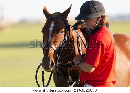 portrait of a polo player next to his horse adjusting the reins Royalty-Free Stock Photo #2143526093