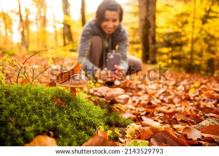 Woman in the forest takes pictures of a mushroom usinag smartphone