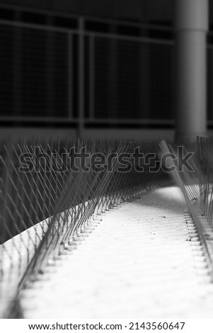 Protective spiky wires covering an urban fence in black and white grayscale.