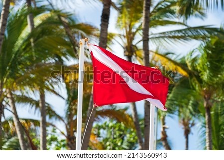 Diver down flag with palm trees on a background