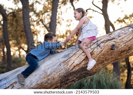 Happy children playing fun enjoying climbing climbing a tree a trunk in the park outdoors on a sunset