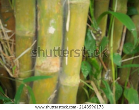 defocused background of three sticks of bamboo overlapping each other.