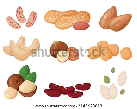 Nuts and seeds set in cartoon style. Cashew, hazelnut, almond, peanut, pistachios, macadamia, pumpkin seeds. Royalty-Free Stock Photo #2143628813
