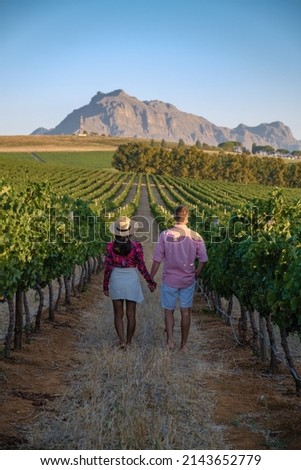 Vineyard landscape at sunset with mountains in Stellenbosch, near Cape Town, South Africa. wine grapes on the vine in vineyard, couple man and woman walking in Vineyard in Stellenbosch South Africa Royalty-Free Stock Photo #2143652779