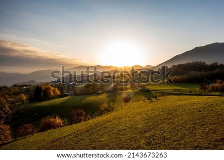 Alpine pasture with horses at sunset in Autumn in Schio Vicenza Veneto Italy