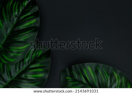 Green Leaves on black background. Concept for wallpaper, background, art, nature, and design.