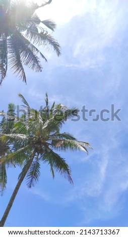 Blue sky behind coconut trees in the Cikancung area, Indonesia