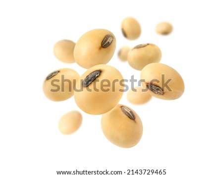 Soybeans levitate isolated on a white background. Royalty-Free Stock Photo #2143729465